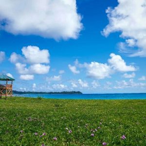 Andaman Family Tour Special 4 NIGHTS 5 DAYS (Premium)