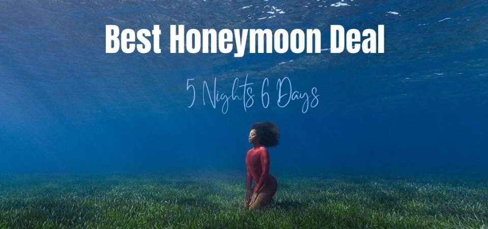 Andaman Best Honeymoon Tours