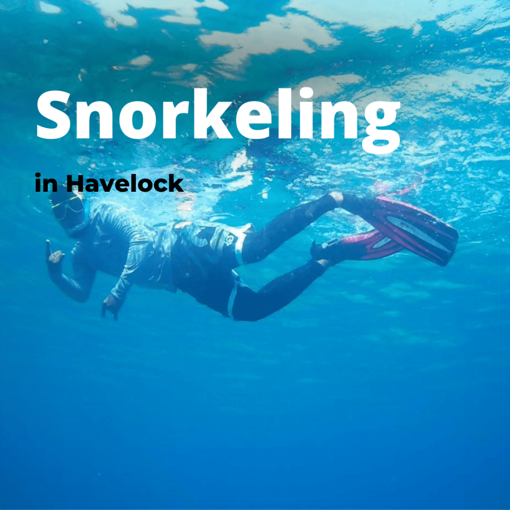 Snorkeling in Havelock Andaman