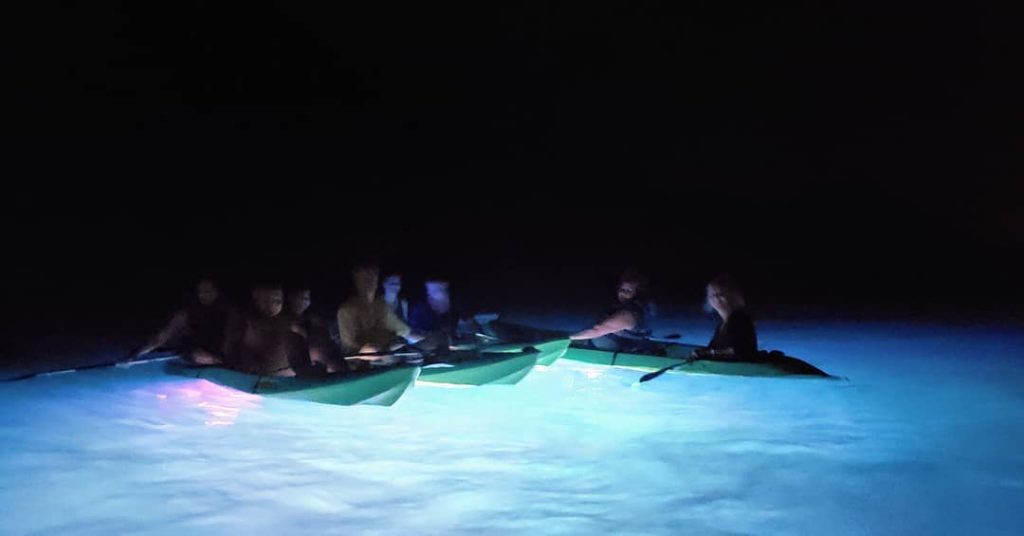 Night Kayaking Tour in Andaman