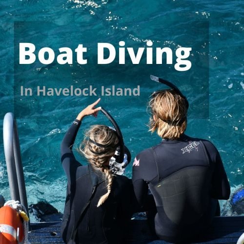 Boat Diving in Havelock Island