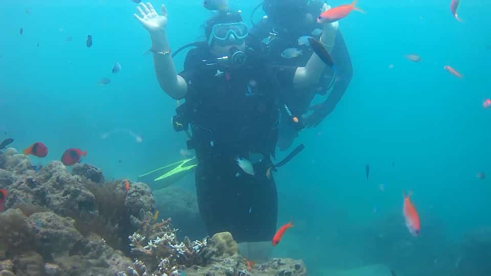 Scuba Diving at Nemo, Havelock