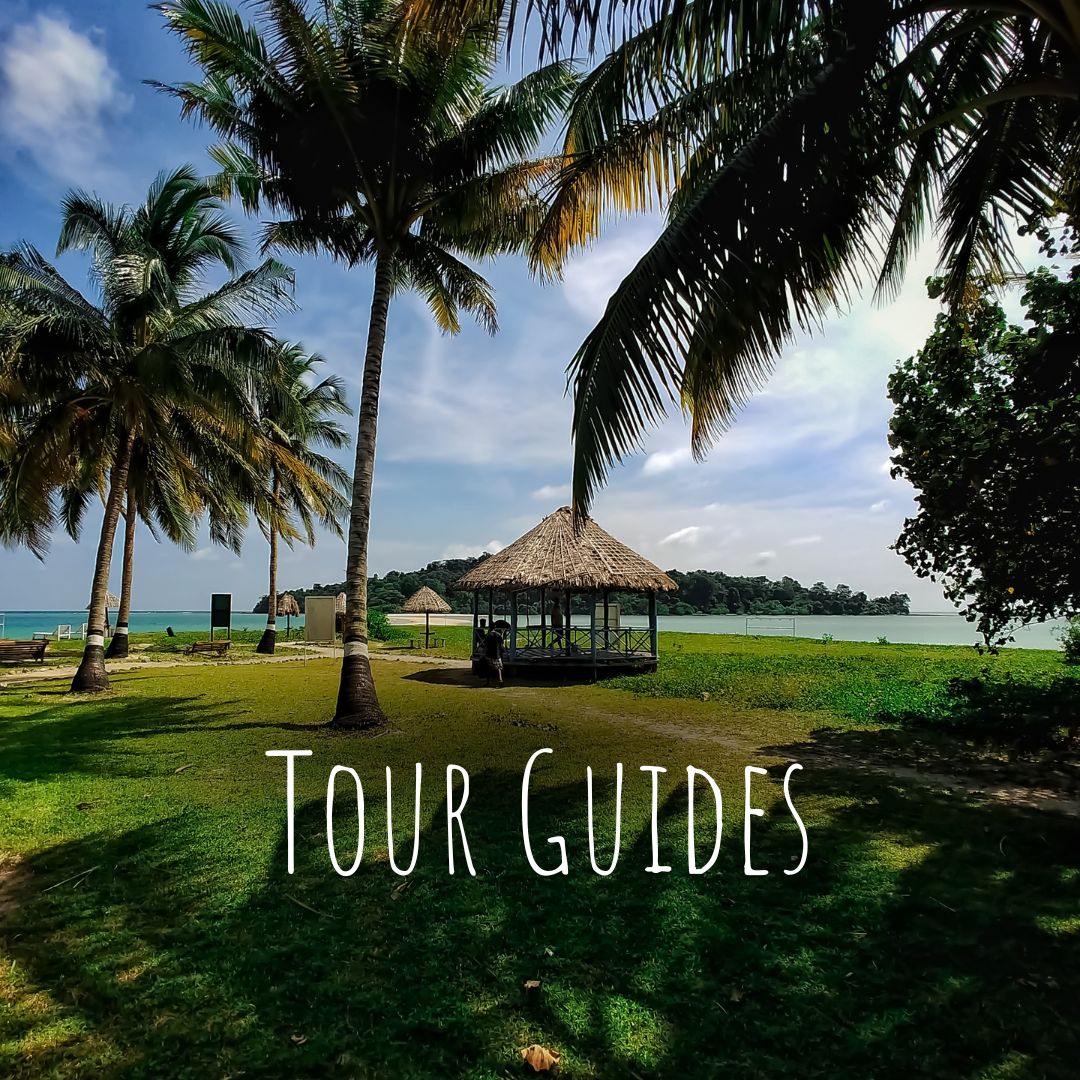 Andaman Tour Package Guide