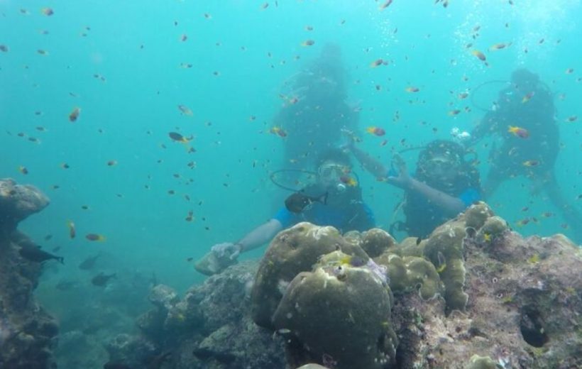 PADI Discover Scuba Diving Havelock Island