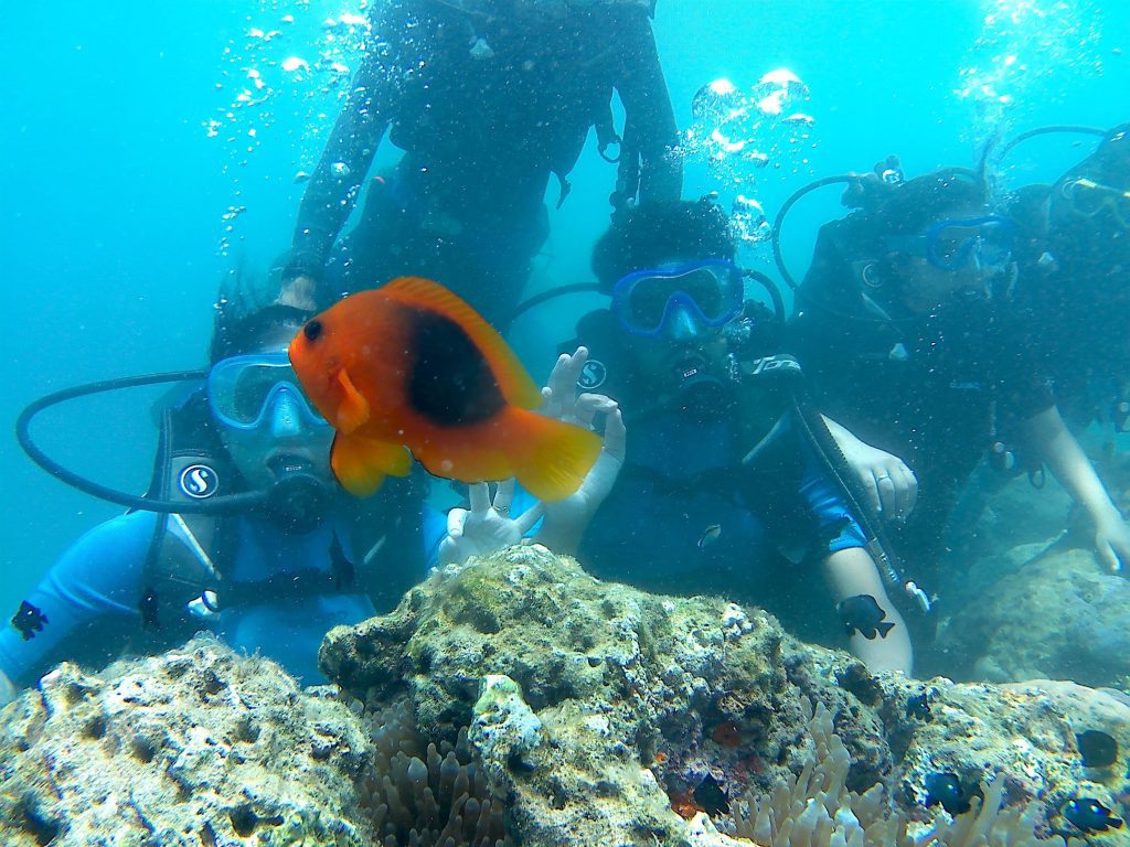 Scuba Diving in Andaman