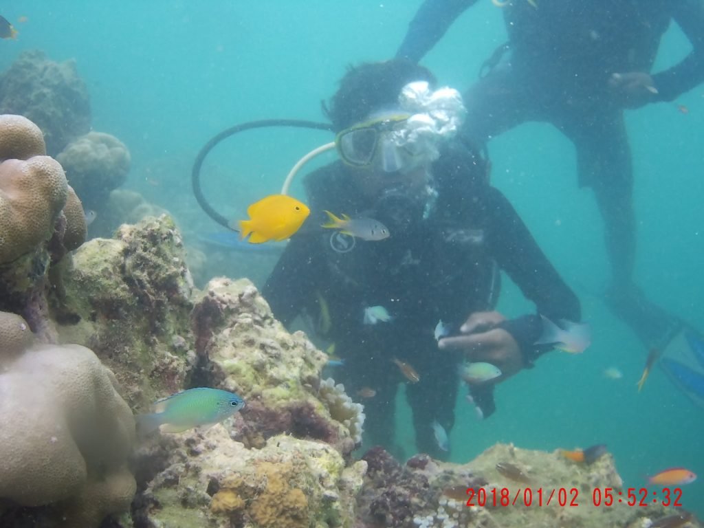 Scuba Diving at Havelock