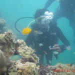 Scuba Diving at Havelock