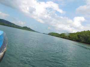 A view from the oat of the mangrove creek in the Baratang island trip