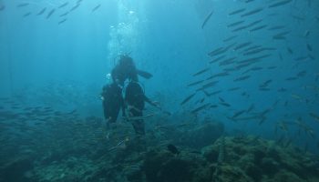 Boat Scuba Diving at Red Pillar, Havelock