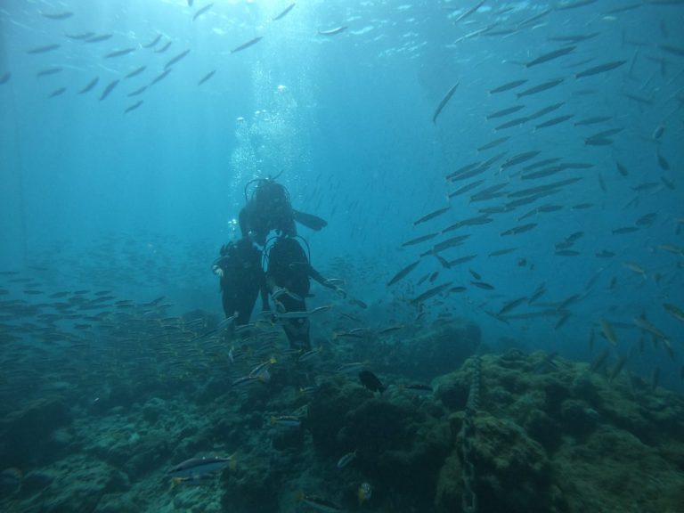 Boat Scuba Diving at Red Pillar, Havelock