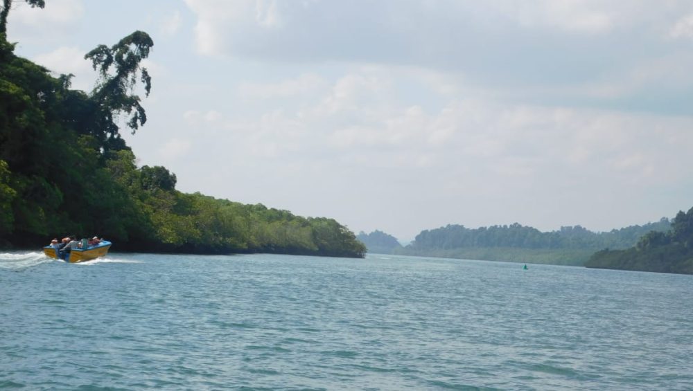 Parrot Island , the best place to visit in Andaman for witnessing parrot