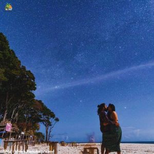 Laxmanpur Beach Neil Island at Night