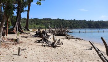 Chidya tapu beach is located 25 km from the Port Blair city