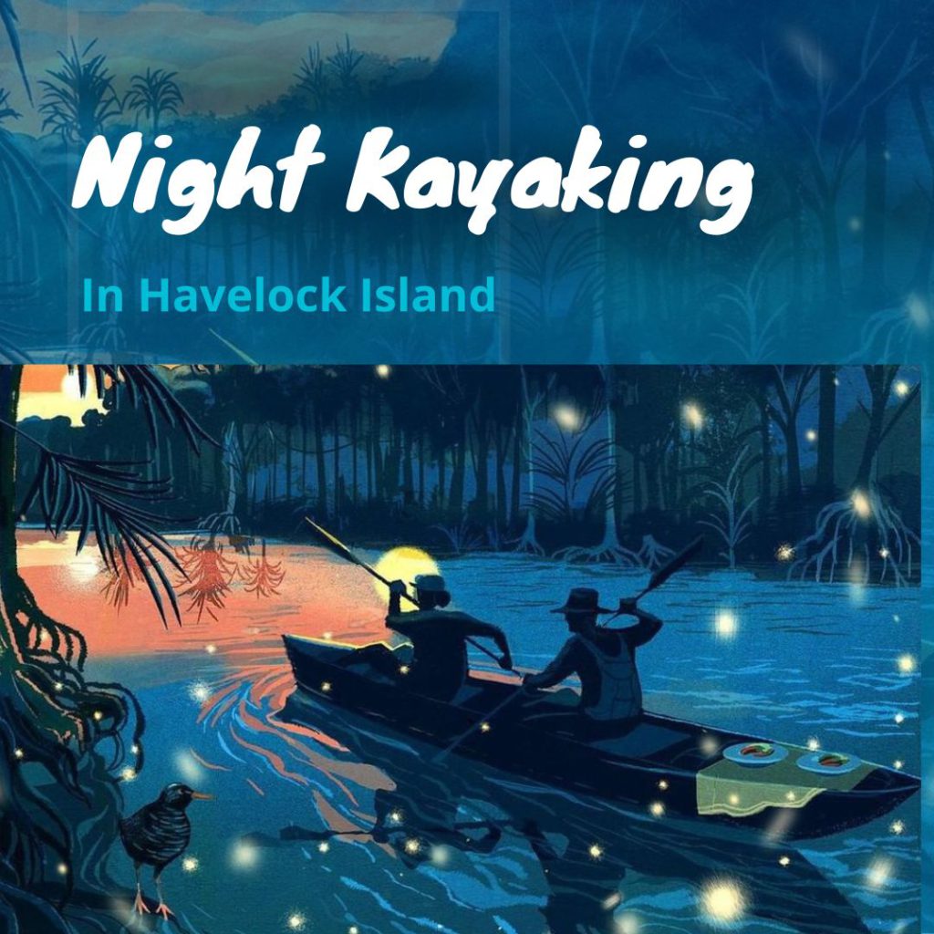An art of couple performing Bioluminescence Kayaking in the mangroves of Havelock
