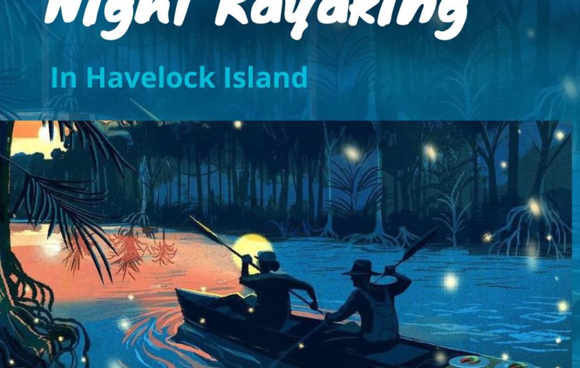Bioluminescence Kayaking in Havelock (Night Kayaking)