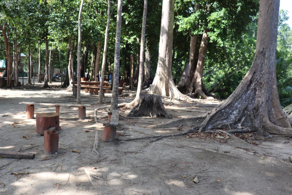 Chidiya tapu beach is famous for its wildlife