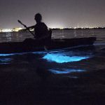 Bioluminescence Night Kayaking - Glowing waters of Havelock
