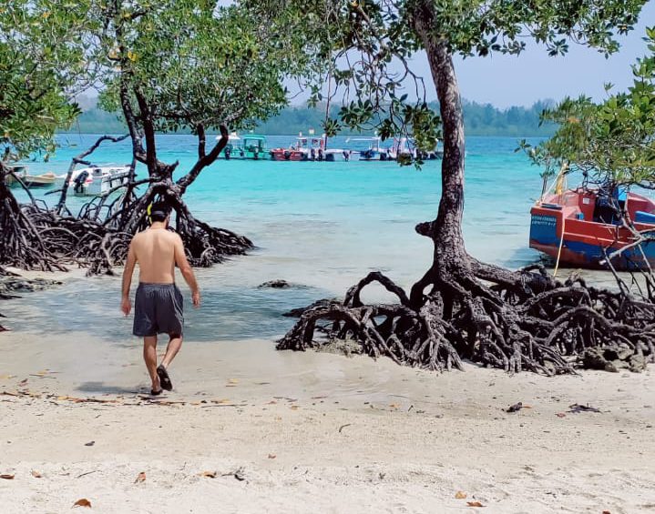 A tourist going for Snorkleing at The mangroves in the Nemo beach of Havelock as it is one the most loved place by tourists