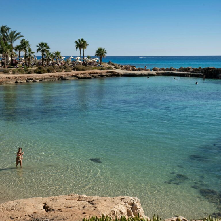 people swimming on beach during daytime