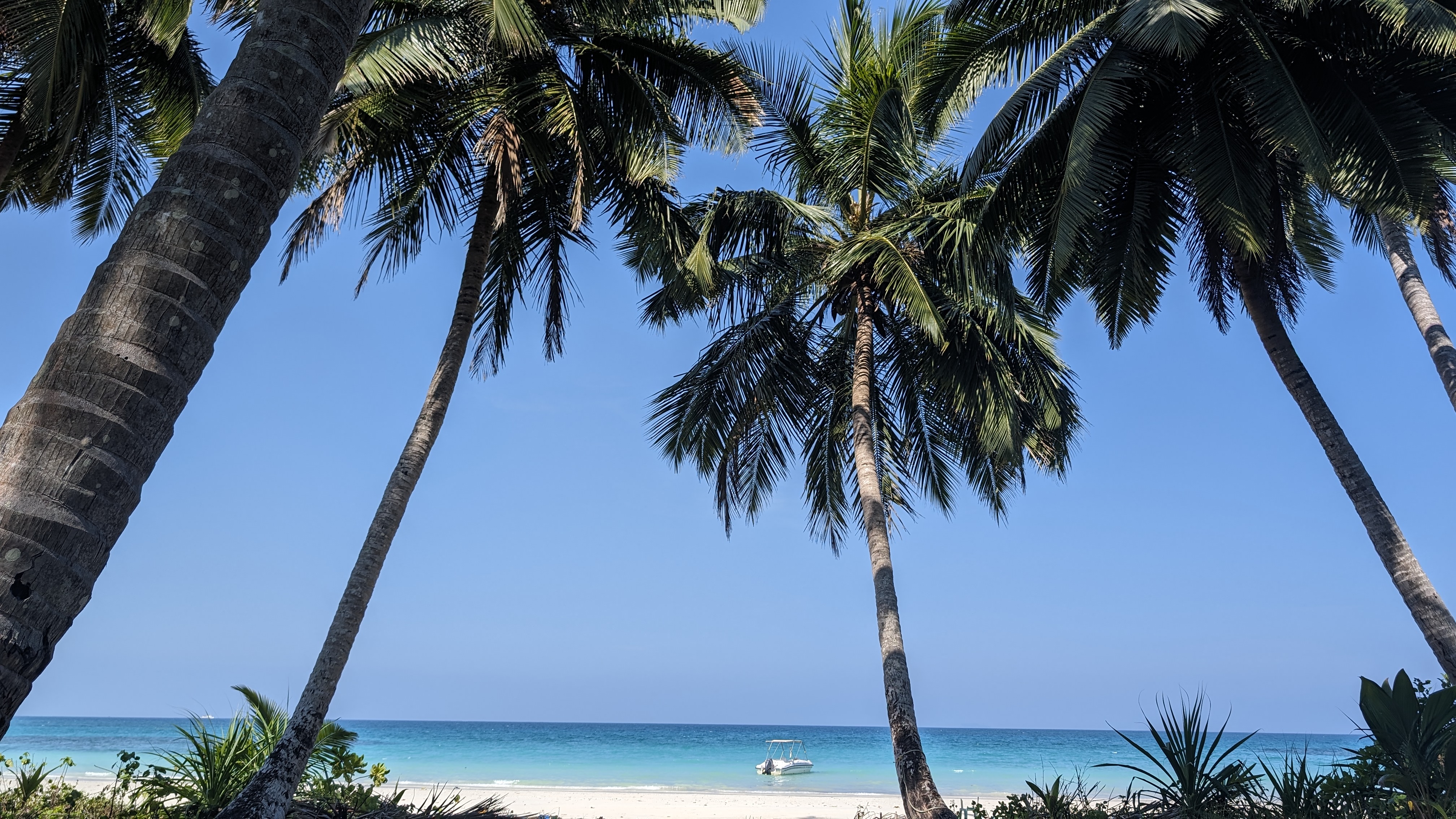 5 Nights 6 Days Andaman Tour Cover