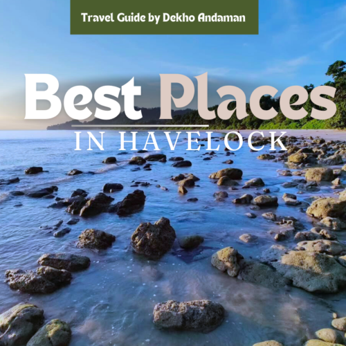 Best things to do in Havelock Island as a tourist