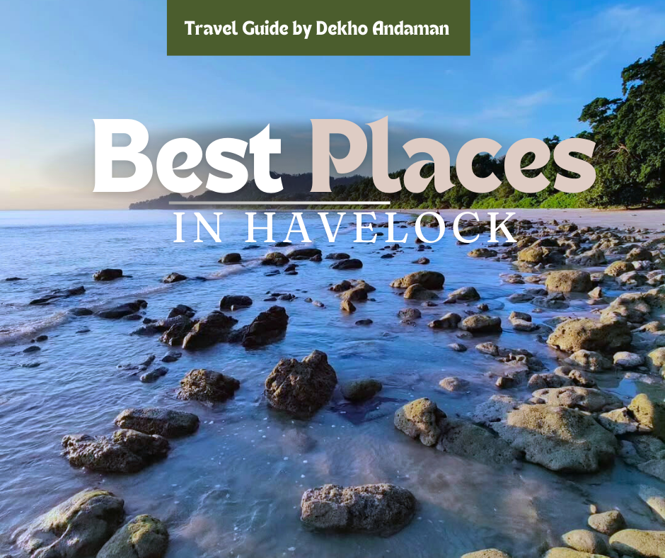 Best things to do in Havelock Island as a tourist