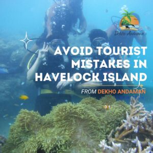 Tourists Scams in Havelock: Diving, Cabs, Photoshoot to Avoid
