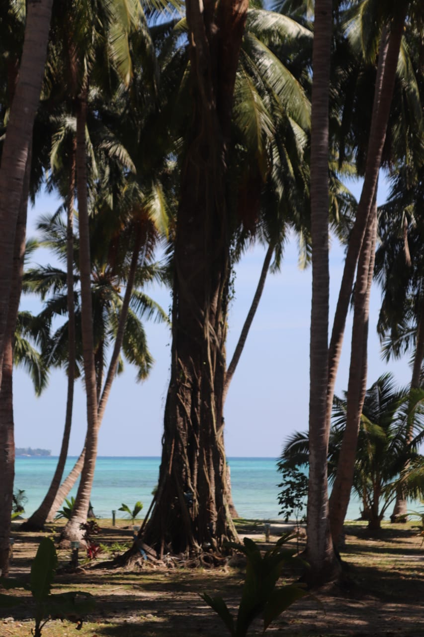 A view of Havelock ISLAND