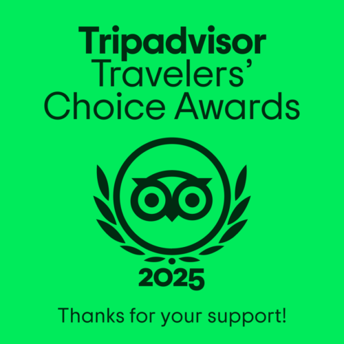 Dekho Andaman TripAdvisor Travelers Choice of The Year 2025
